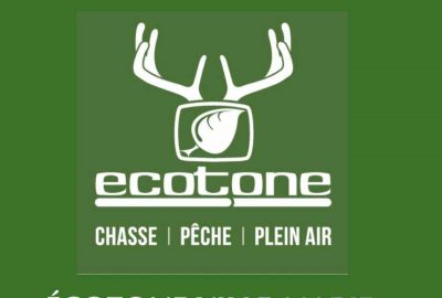 433890047 928155375986475 3717302316671640741 N